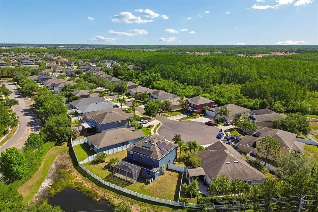 3453 Marmalade Court Land O Lakes FL 34638