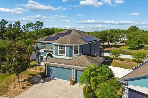 3453 Marmalade Court Land O Lakes FL 34638