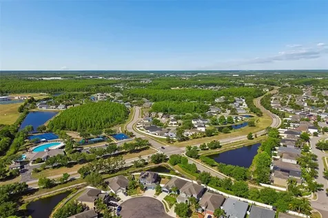 3453 Marmalade Court Land O Lakes FL 34638