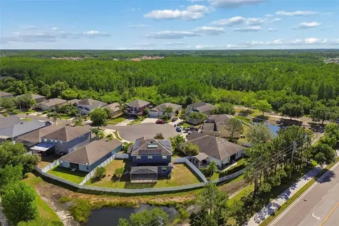 3453 Marmalade Court Land O Lakes FL 34638