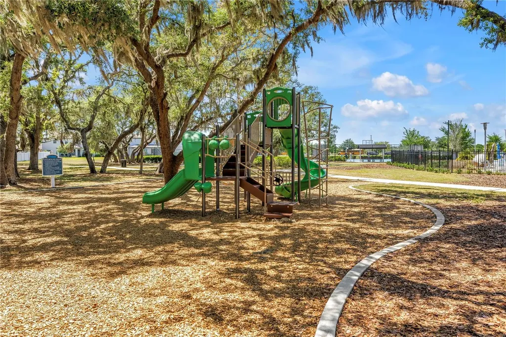 13229 Orca Sound Drive Riverview FL 33579