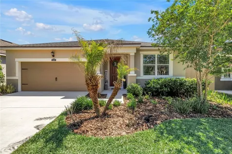 13229 Orca Sound Drive Riverview FL 33579