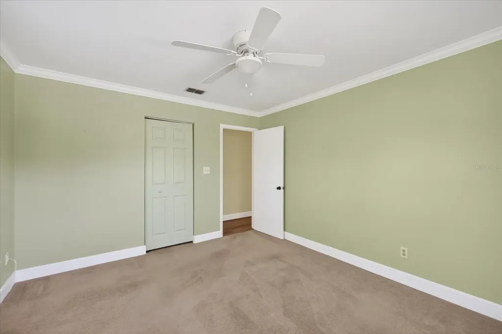 1005 Beaver Drive Tarpon Springs FL 34689