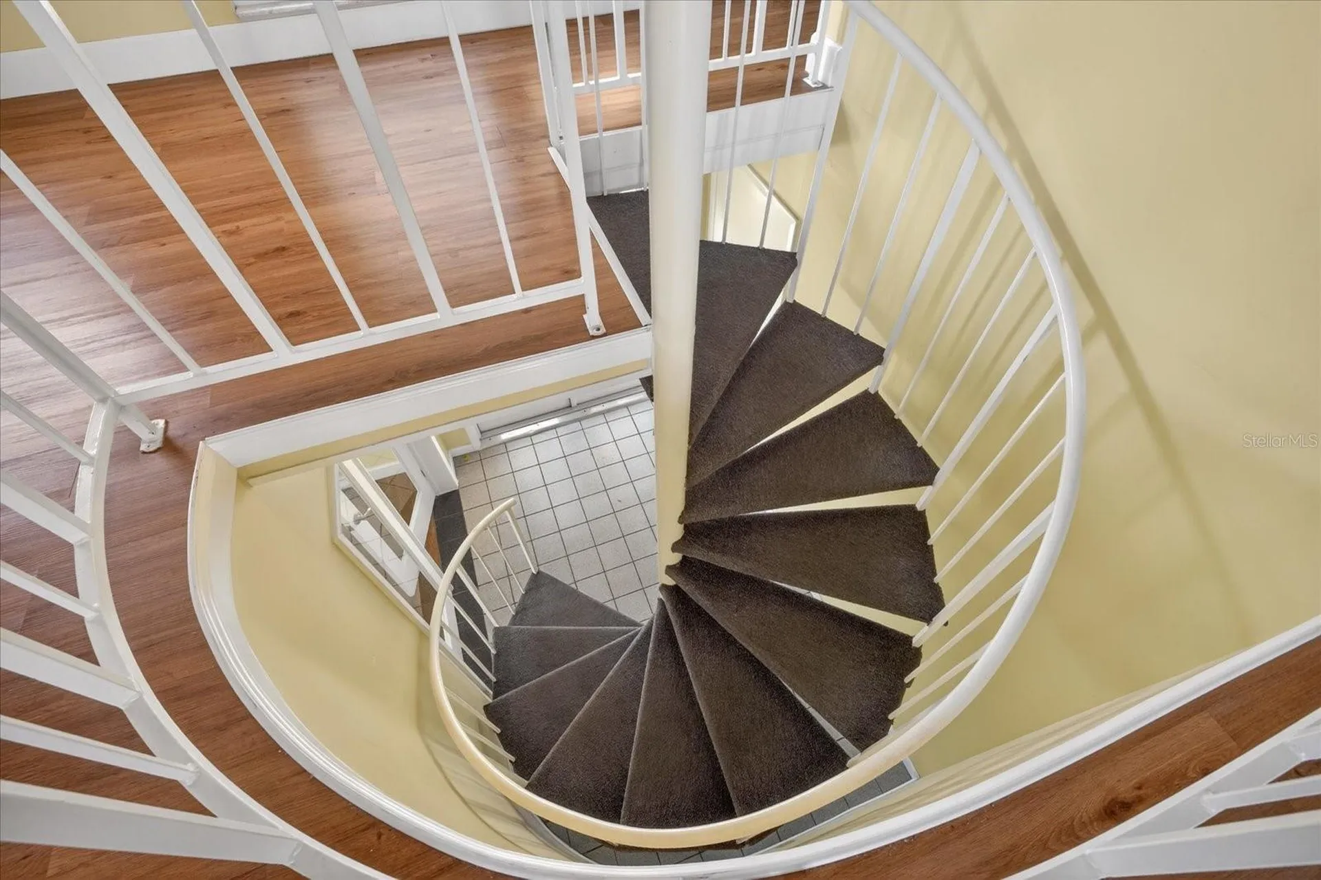 1005 Beaver Drive Tarpon Springs FL 34689