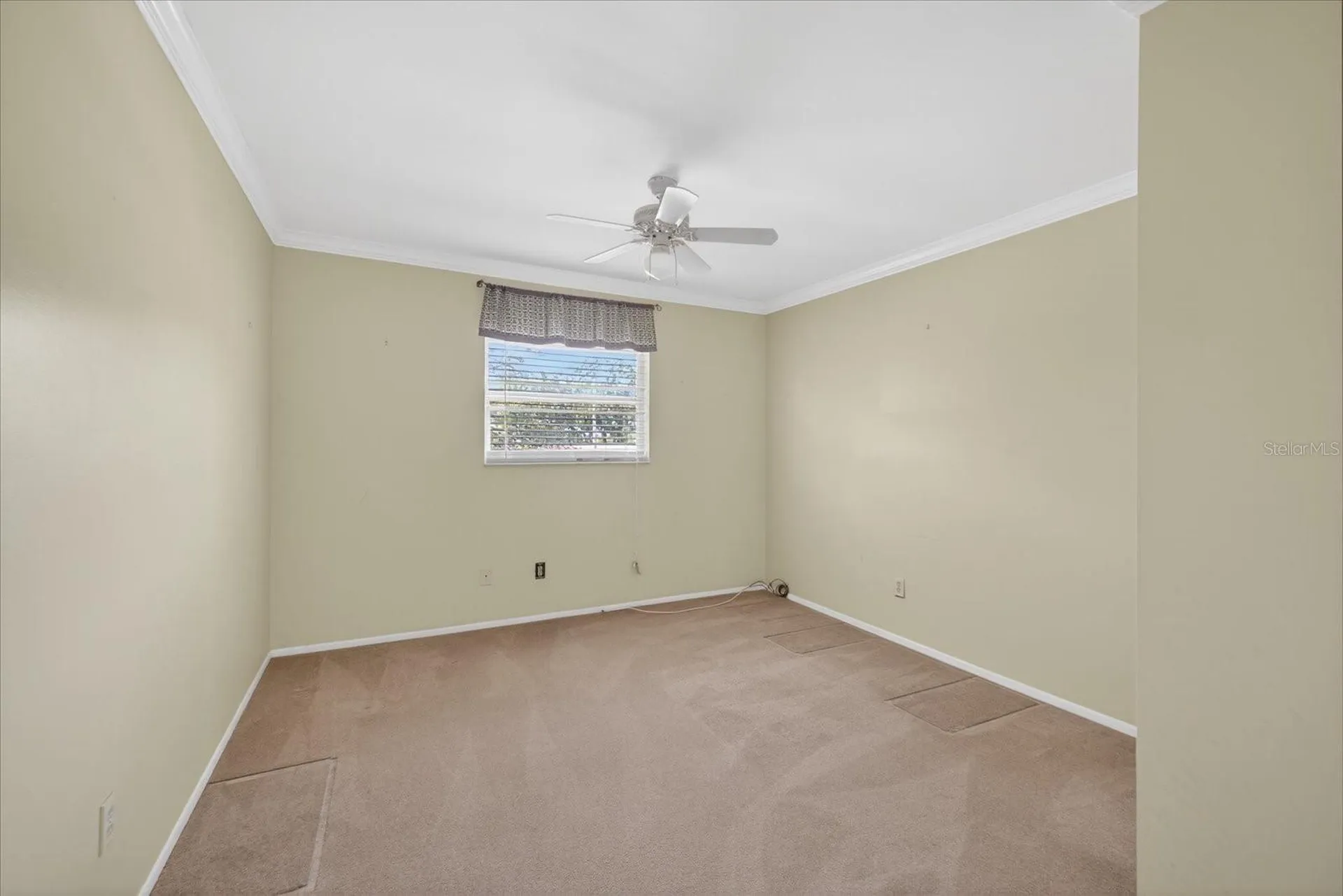 1005 Beaver Drive Tarpon Springs FL 34689