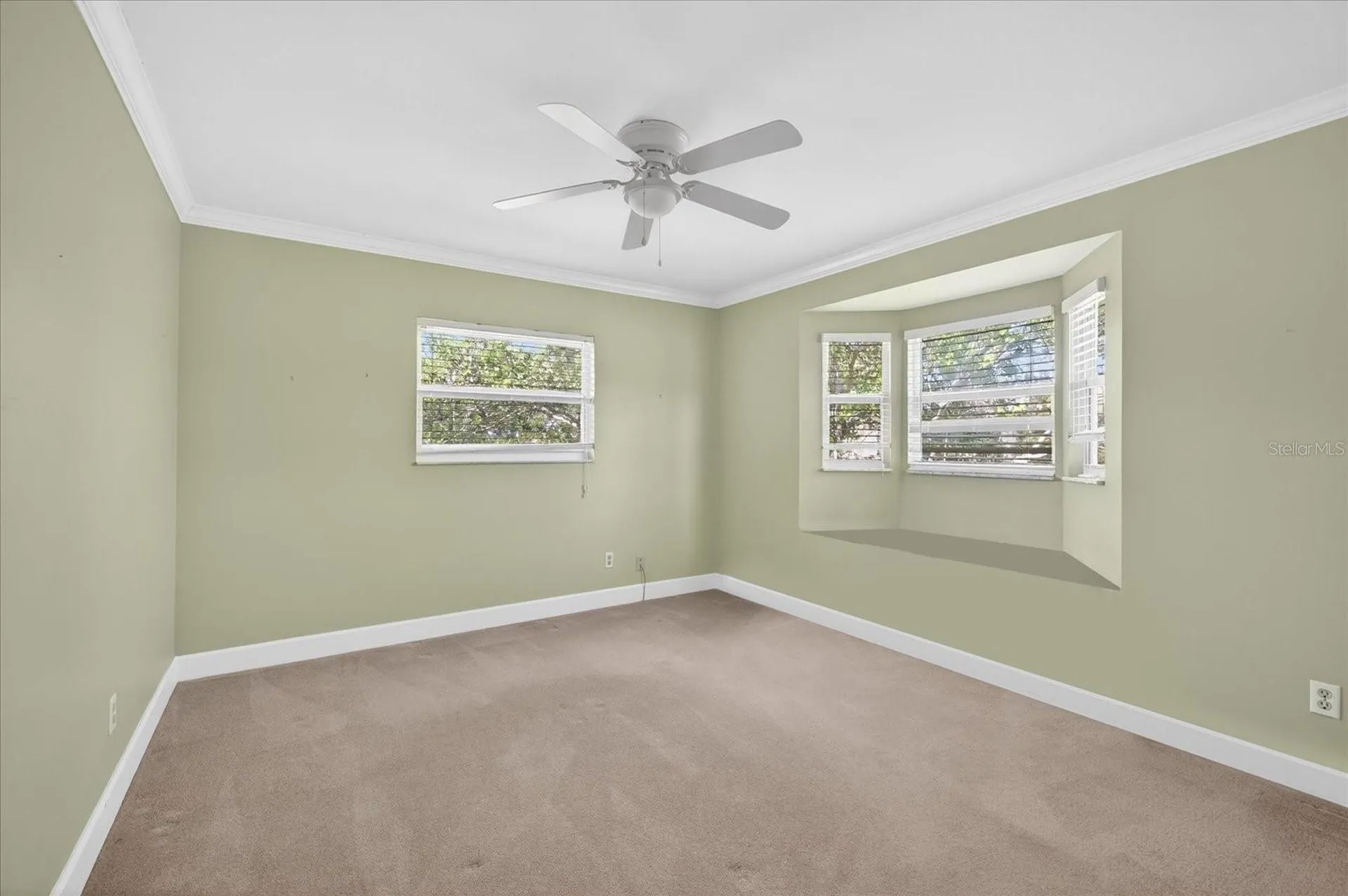 1005 Beaver Drive Tarpon Springs FL 34689