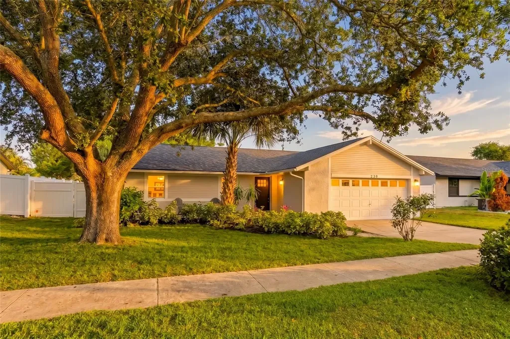 239 Myrtle Court Palm Harbor FL 34683
