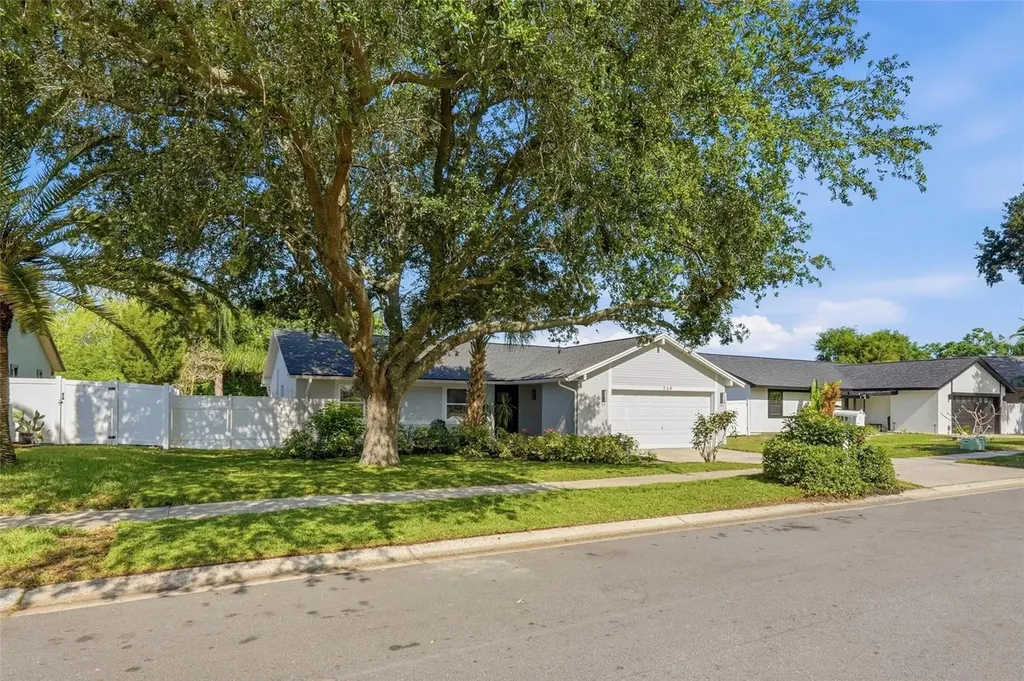 239 Myrtle Court Palm Harbor FL 34683