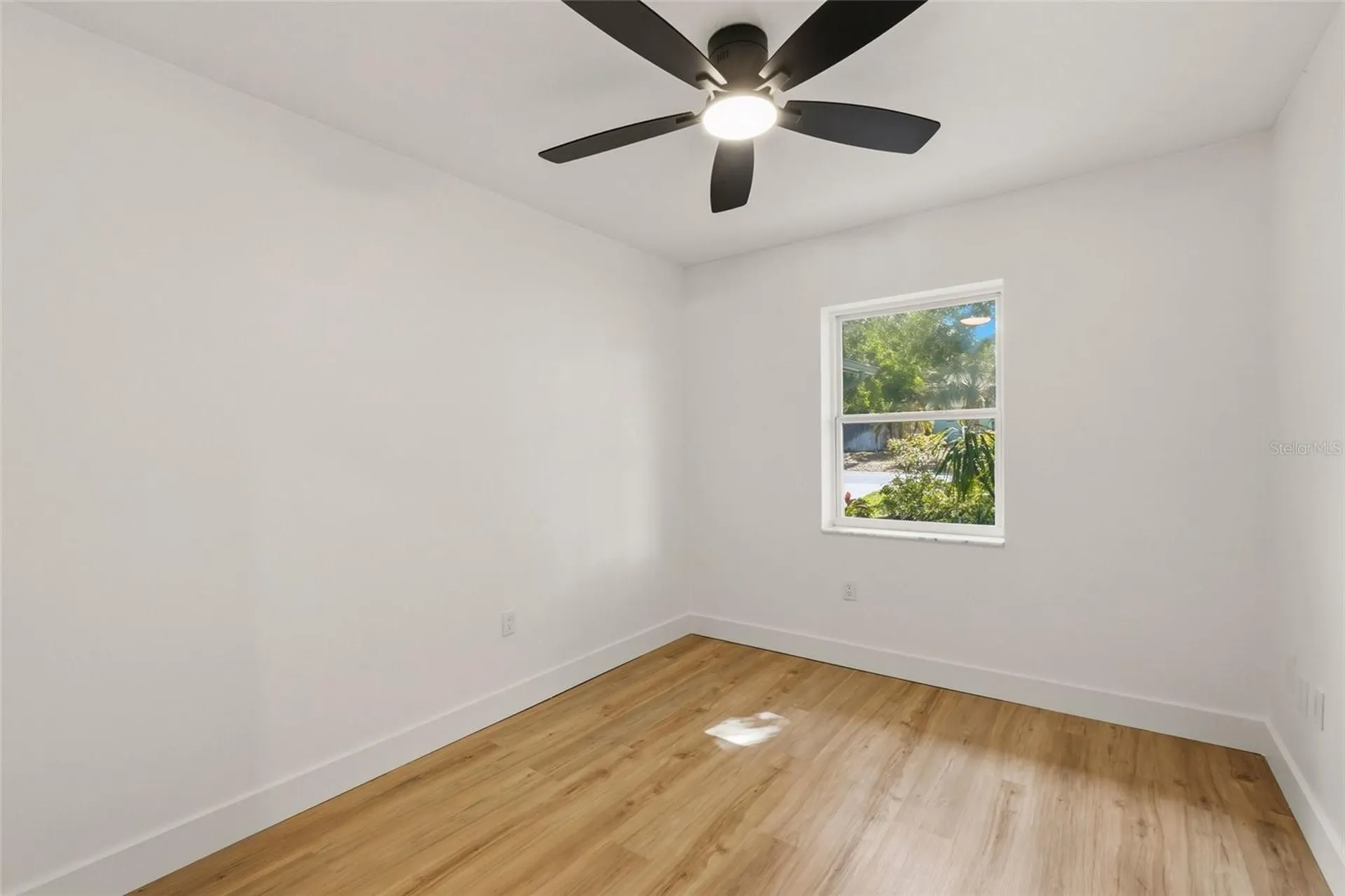 239 Myrtle Court Palm Harbor FL 34683