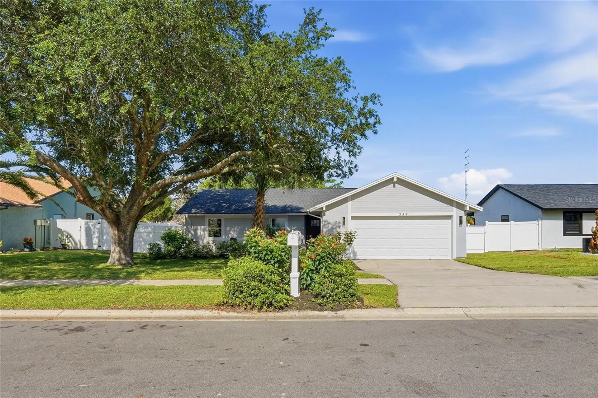 239 Myrtle Court Palm Harbor FL 34683