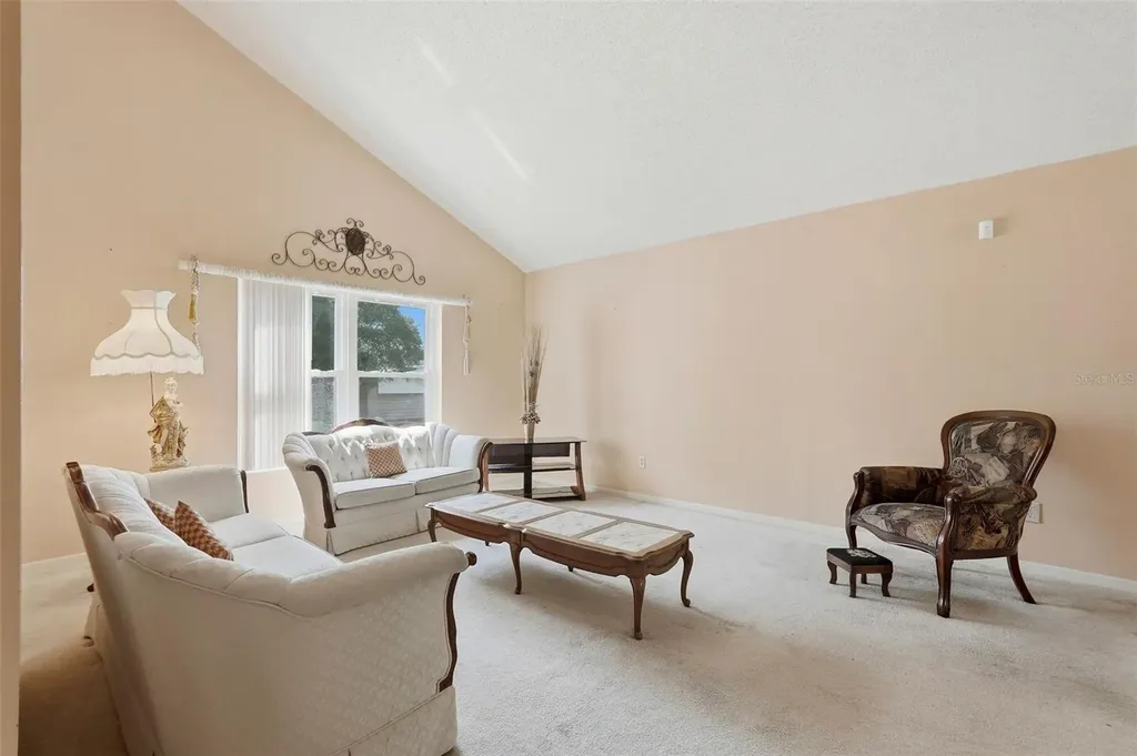 30 Turnstone Drive Safety Harbor FL 34695