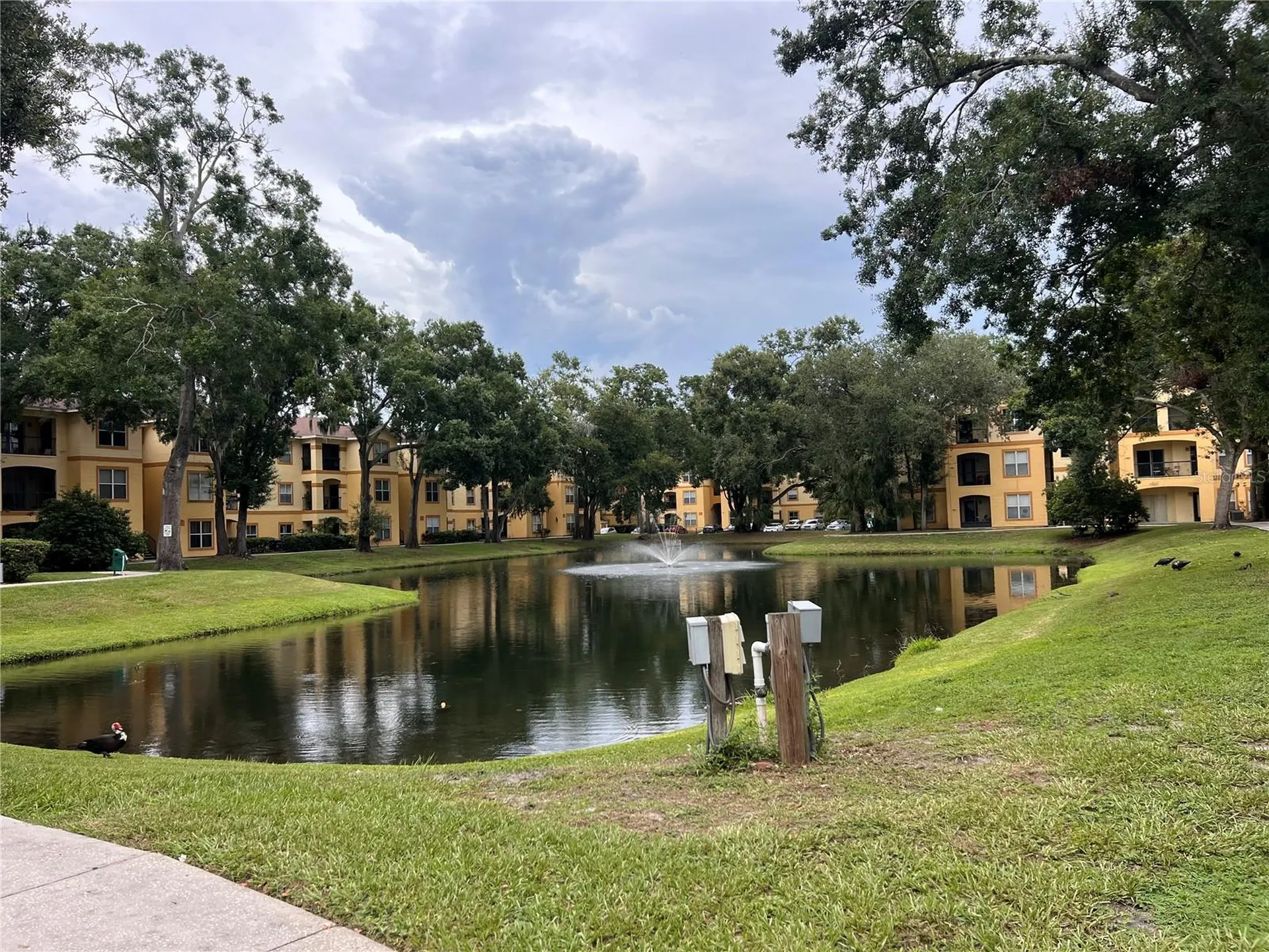 5620 Pinnacle Heights Circle Tampa FL 33624