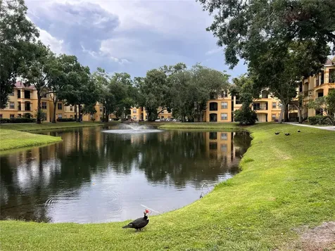 5620 Pinnacle Heights Circle Tampa FL 33624