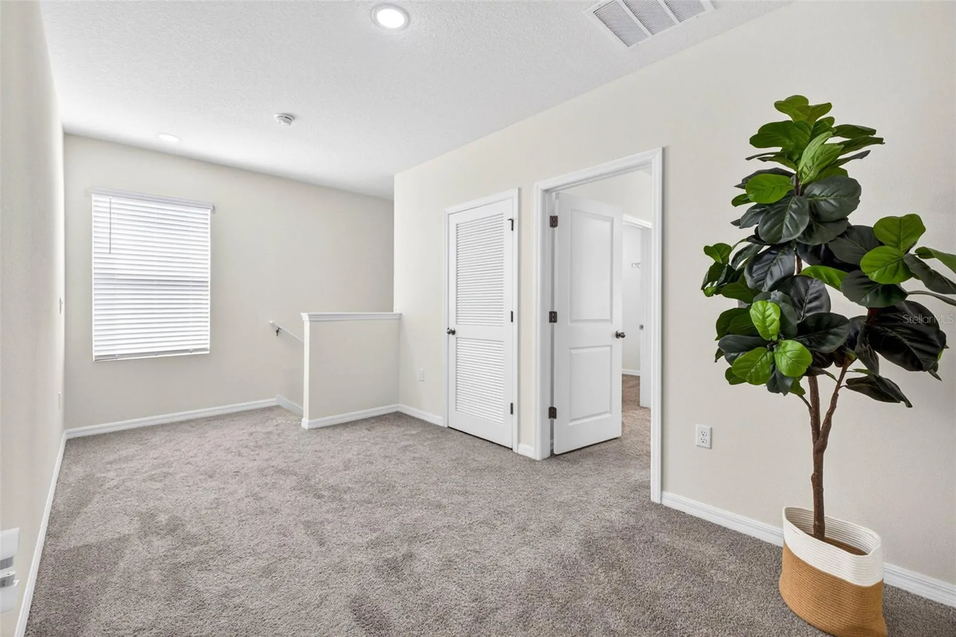 35686 Sunflower Hill Drive Zephyrhills FL 33541