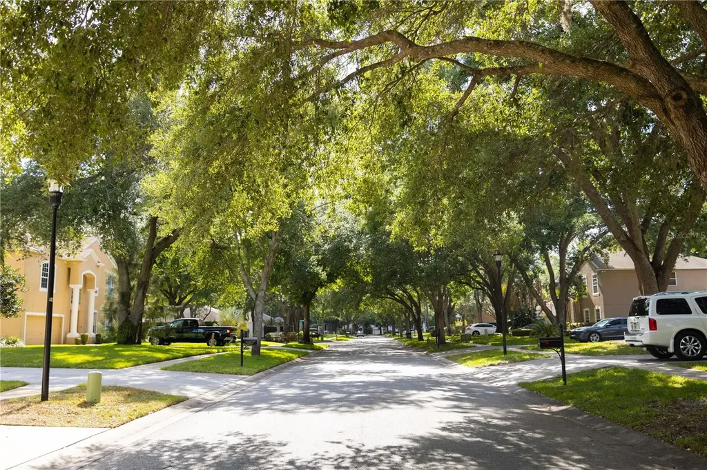 1511 Mccrea Drive Lutz FL 33549