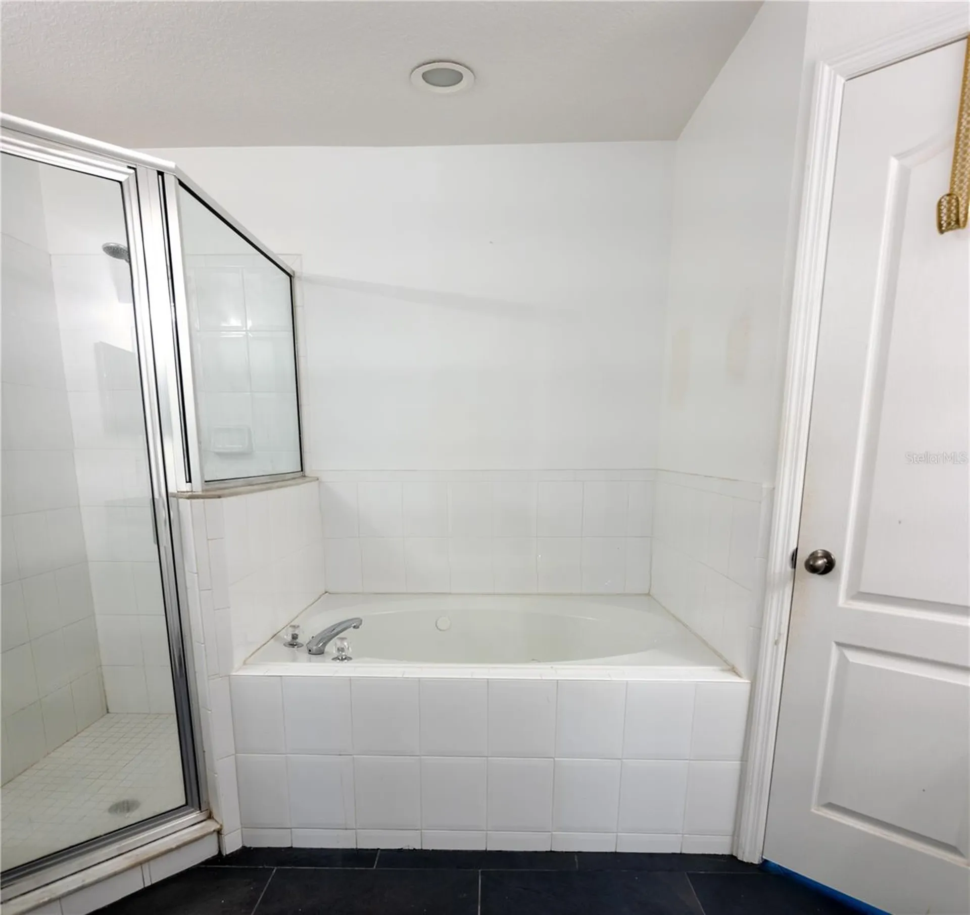 1511 Mccrea Drive Lutz FL 33549