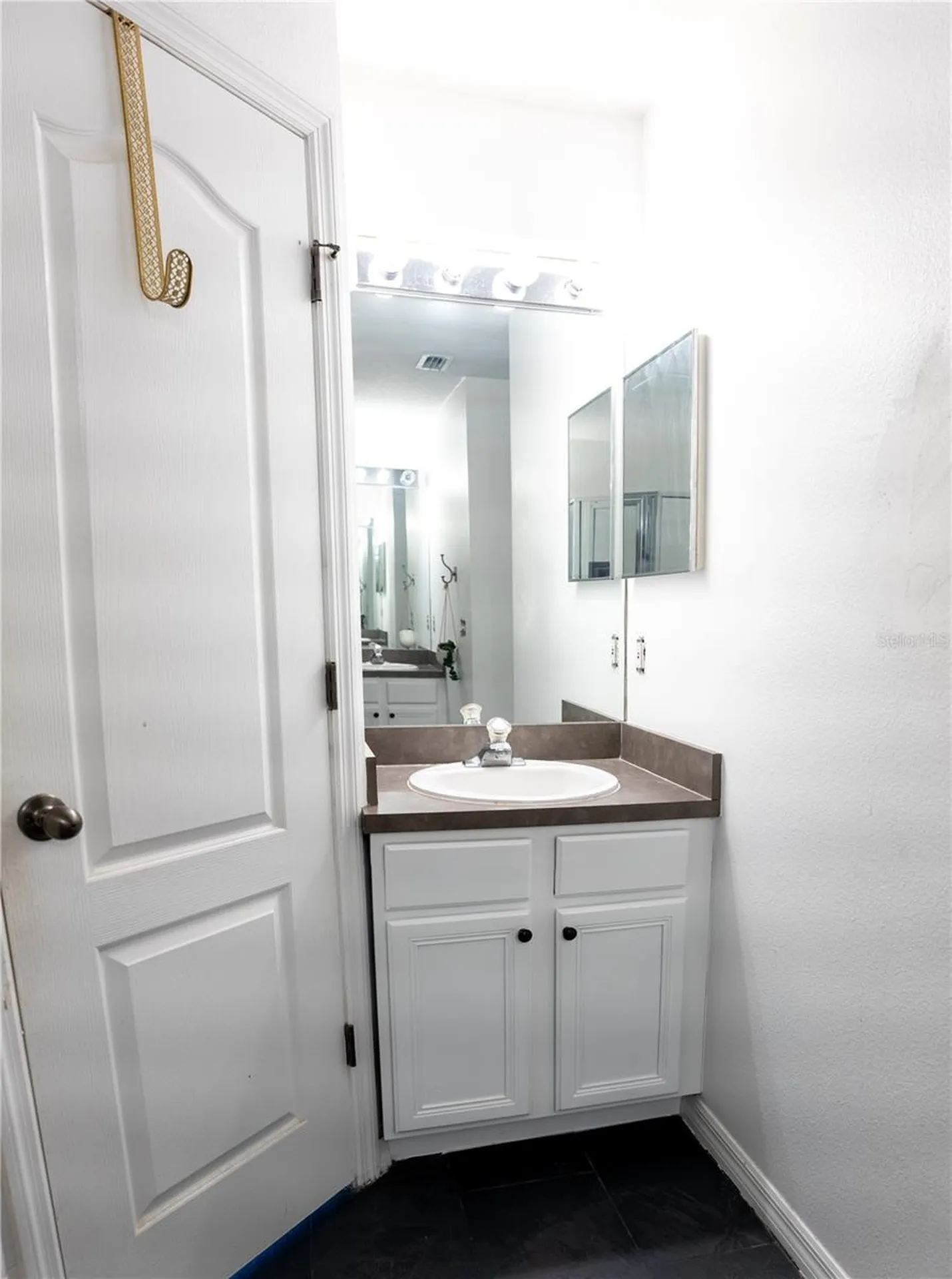 1511 Mccrea Drive Lutz FL 33549