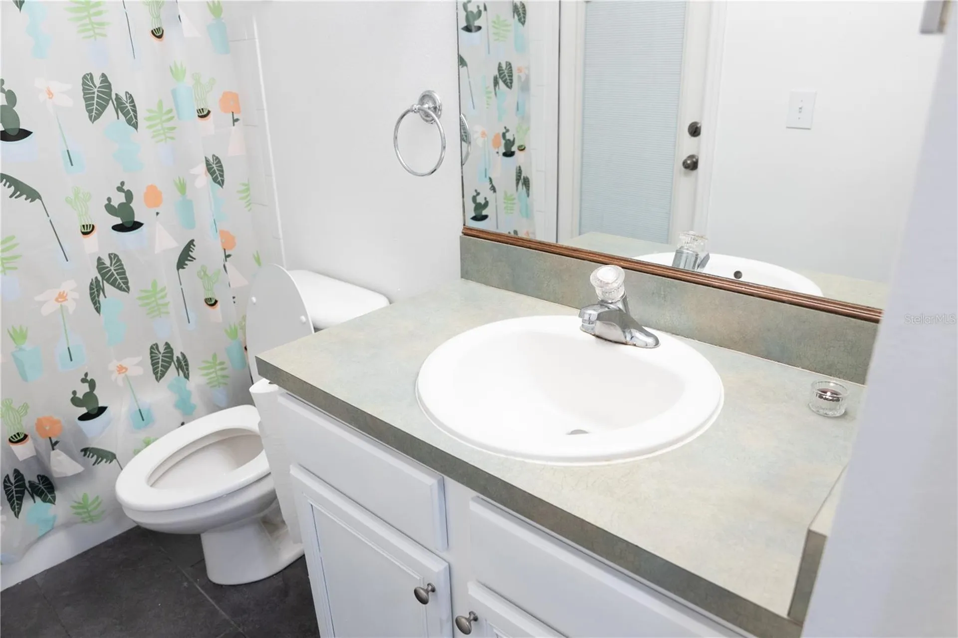 1511 Mccrea Drive Lutz FL 33549
