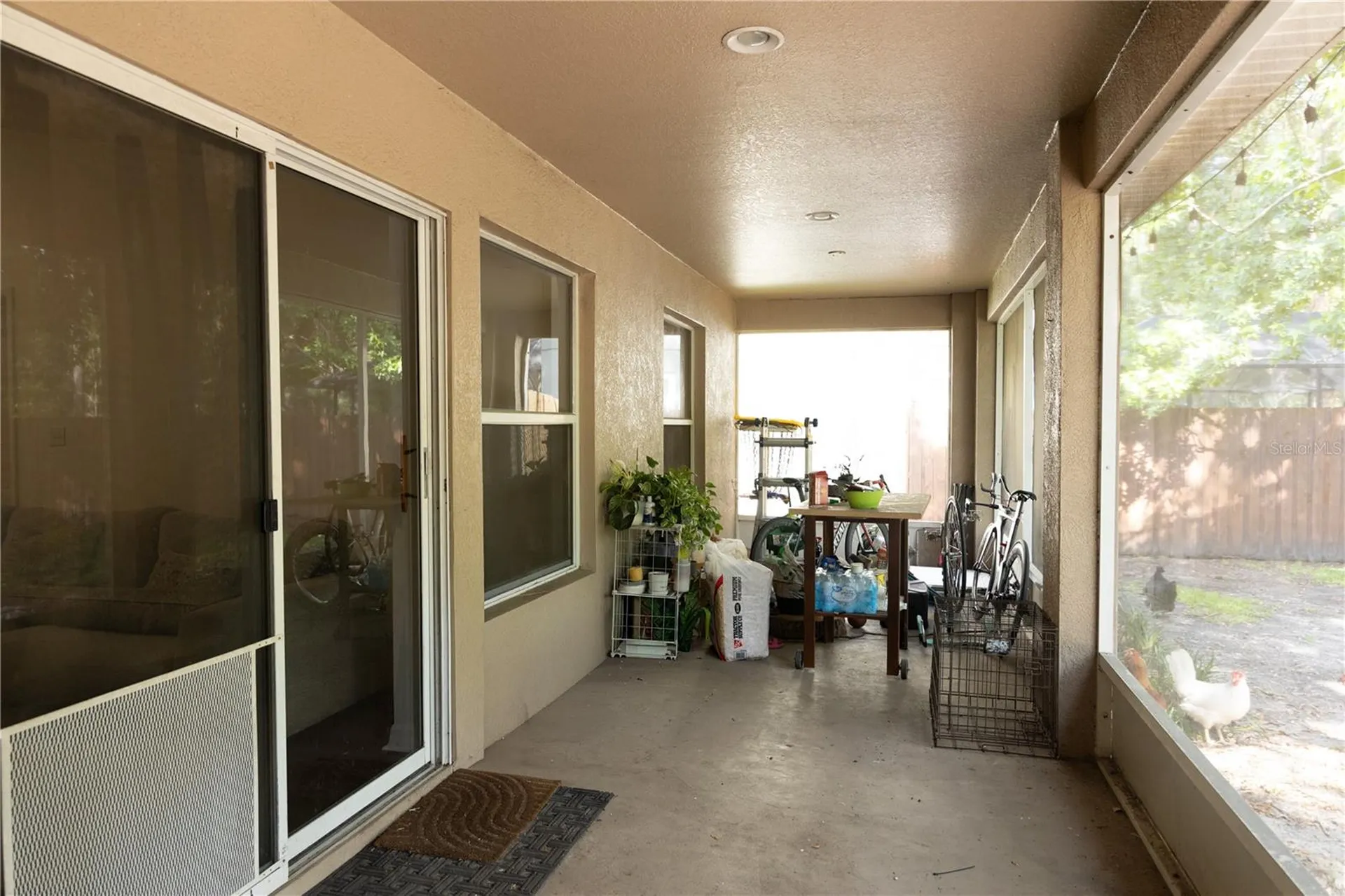 1511 Mccrea Drive Lutz FL 33549