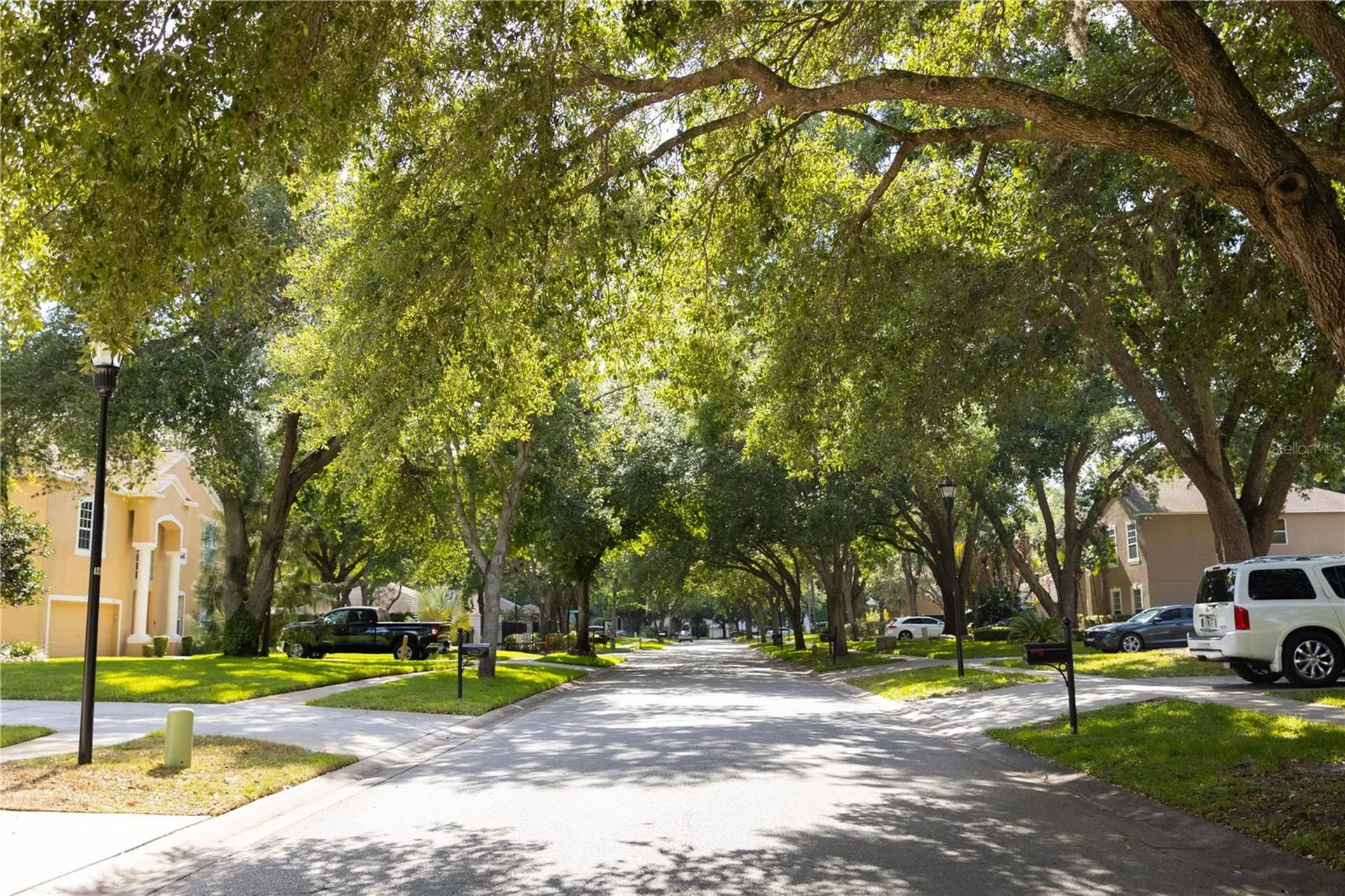 1511 Mccrea Drive Lutz FL 33549