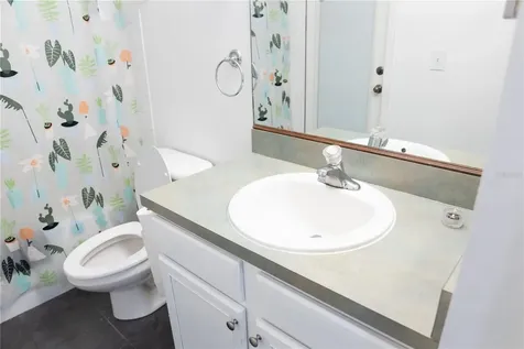 1511 Mccrea Drive Lutz FL 33549
