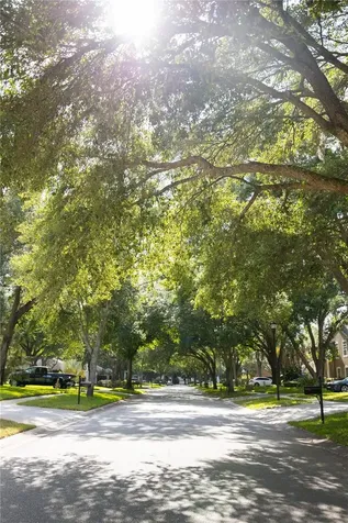 1511 Mccrea Drive Lutz FL 33549