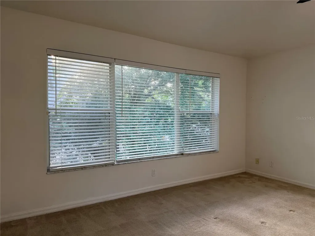4212 Bismarck Palm Drive Tampa FL 33610