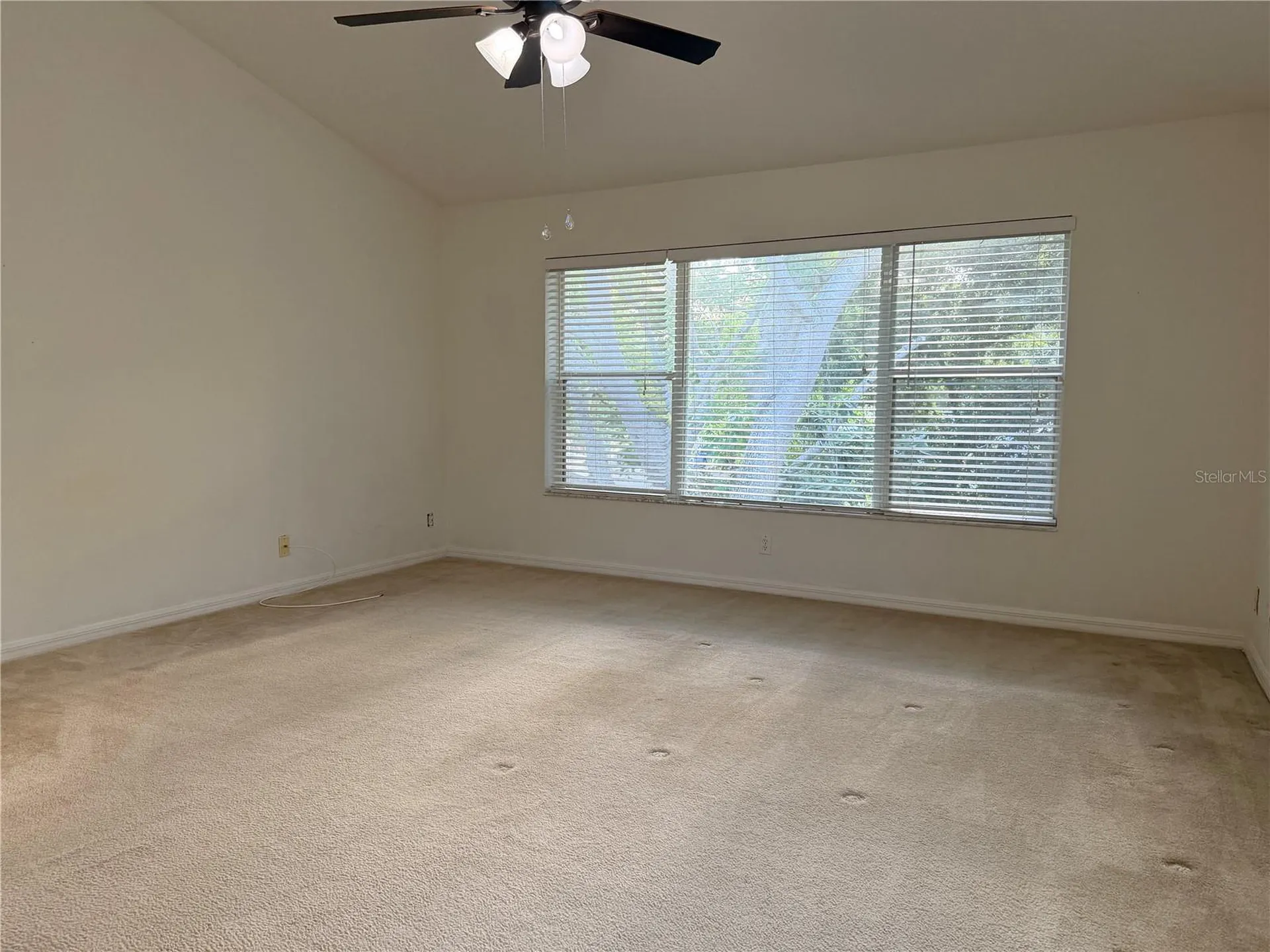 4212 Bismarck Palm Drive Tampa FL 33610