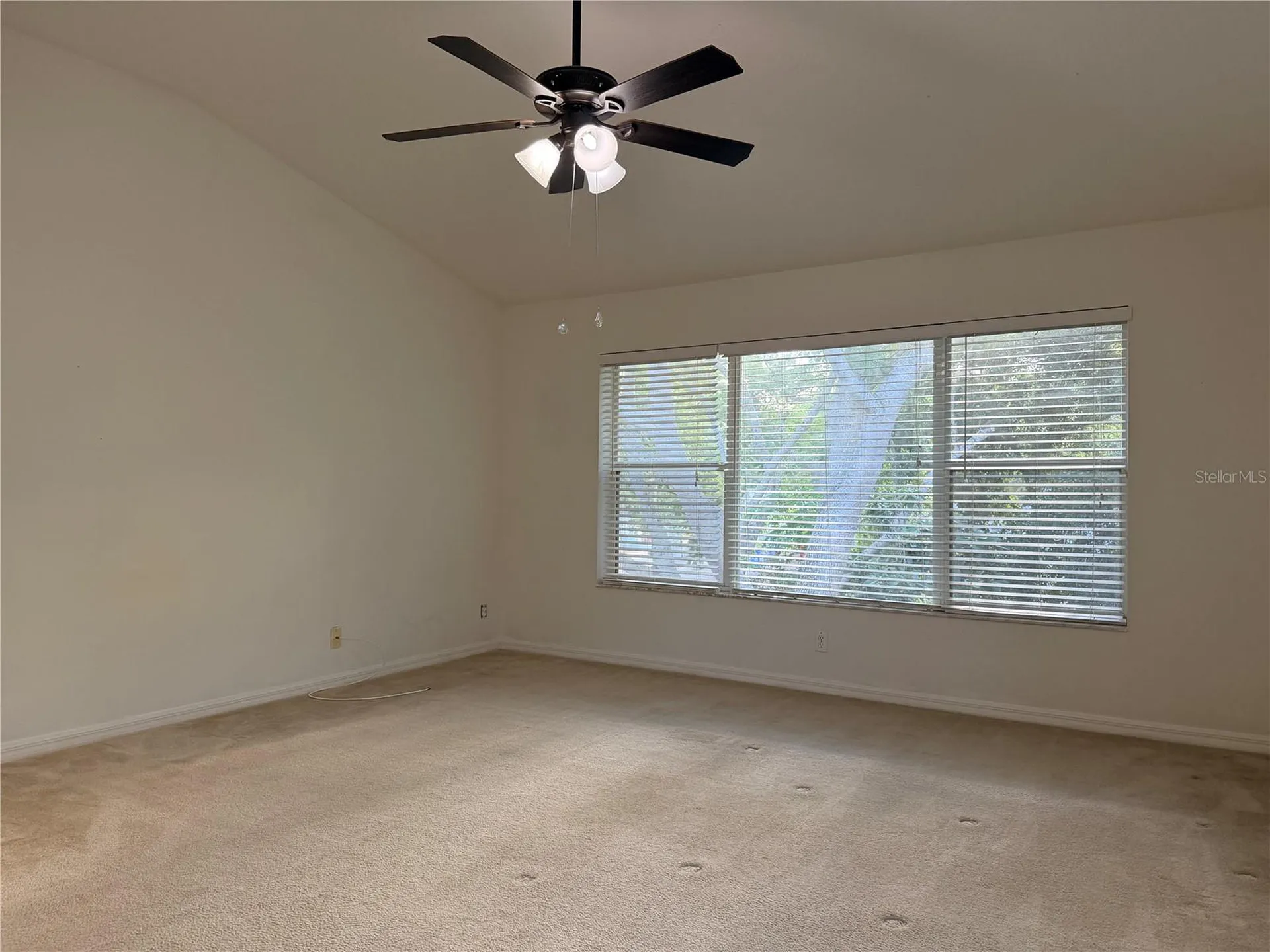 4212 Bismarck Palm Drive Tampa FL 33610
