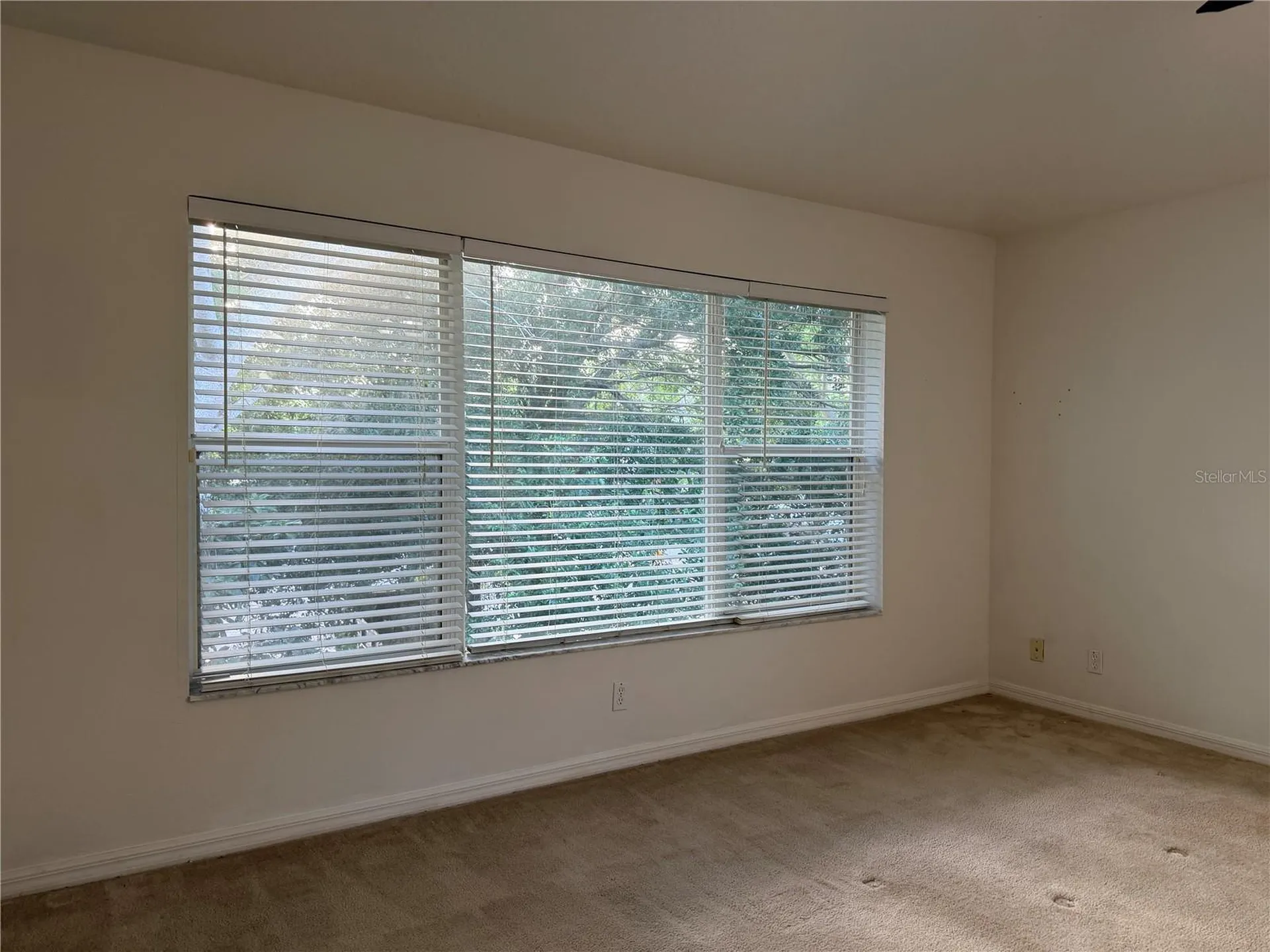 4212 Bismarck Palm Drive Tampa FL 33610