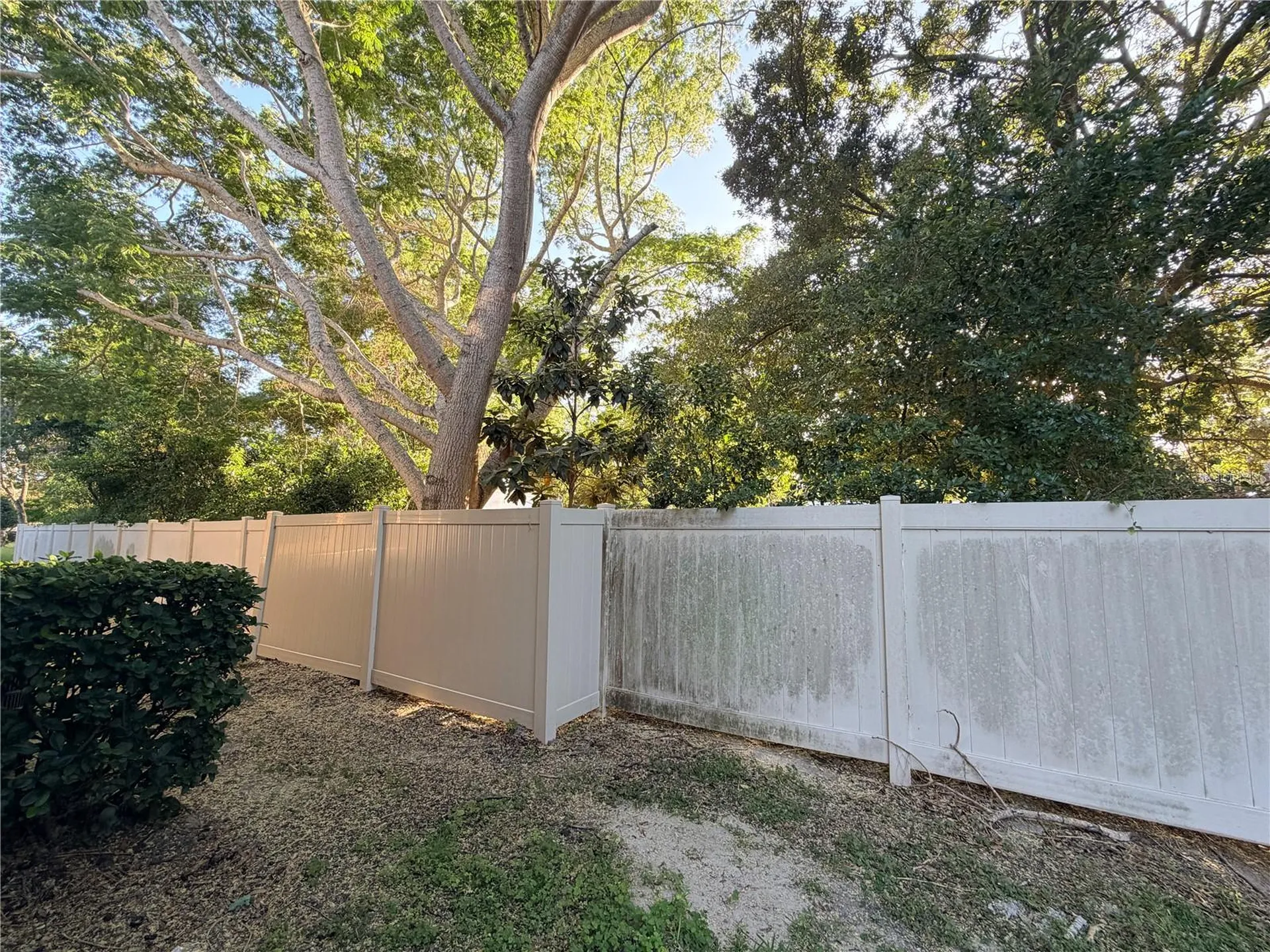 4212 Bismarck Palm Drive Tampa FL 33610