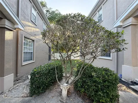 4212 Bismarck Palm Drive Tampa FL 33610
