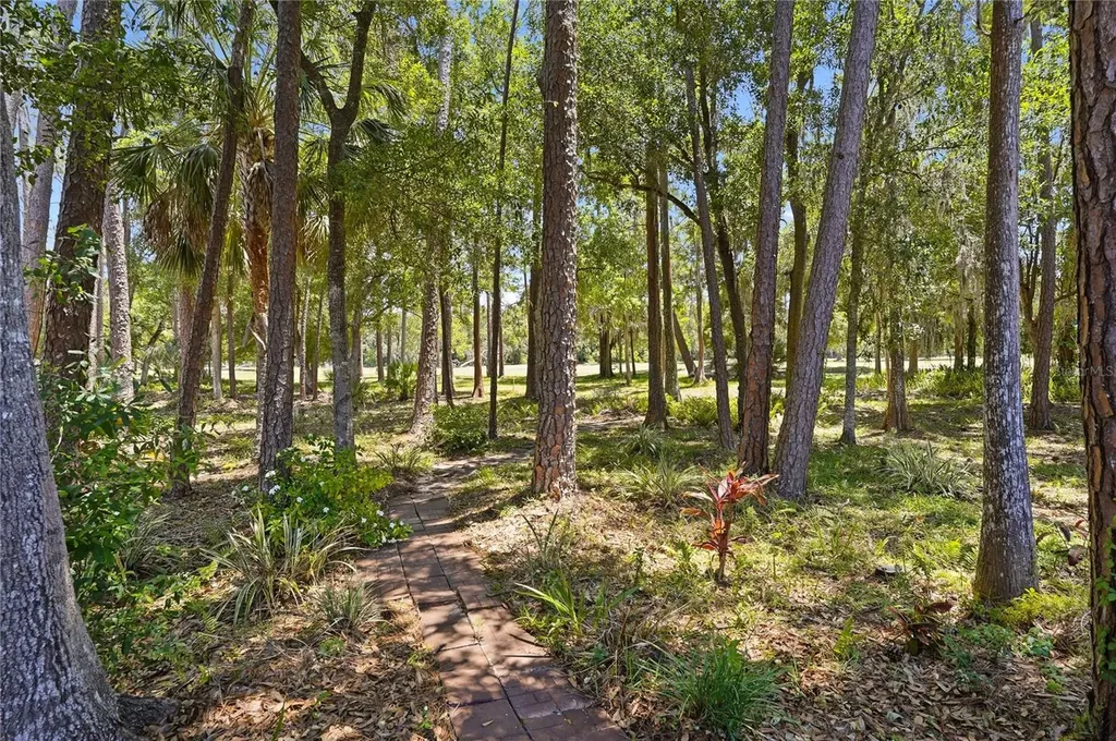 3071 Bolt Drive Palm Harbor FL 34685