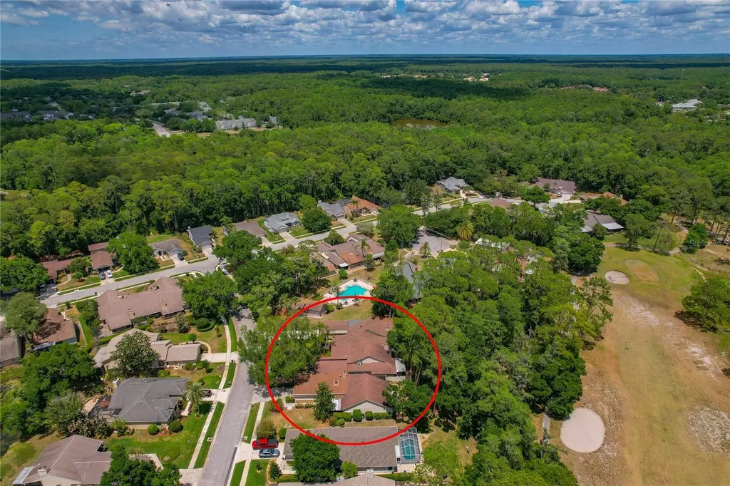 3071 Bolt Drive Palm Harbor FL 34685