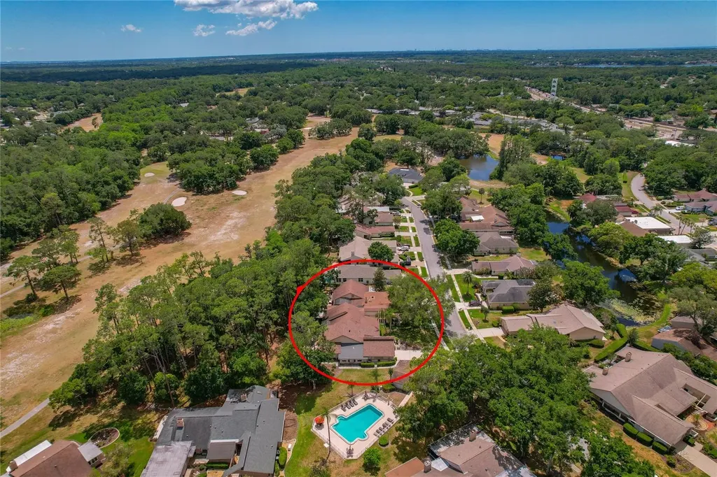 3071 Bolt Drive Palm Harbor FL 34685