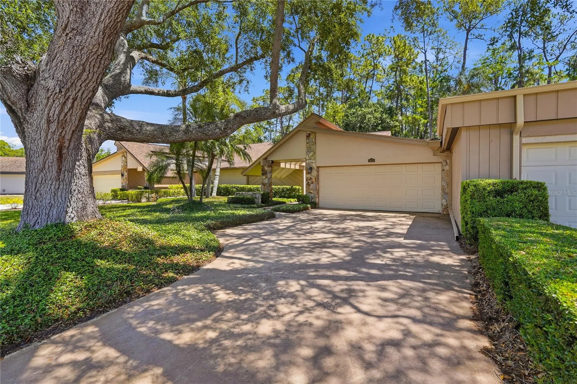 3071 Bolt Drive Palm Harbor FL 34685