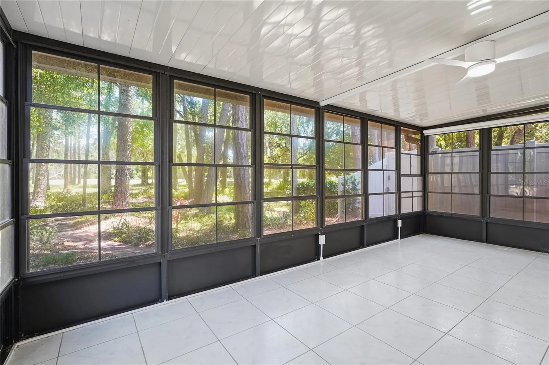 3071 Bolt Drive Palm Harbor FL 34685