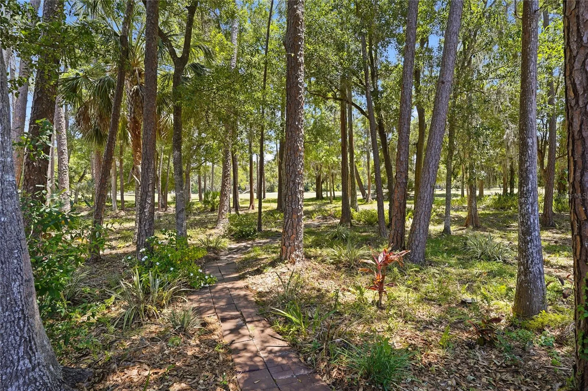 3071 Bolt Drive Palm Harbor FL 34685