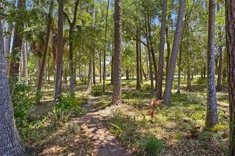3071 Bolt Drive Palm Harbor FL 34685