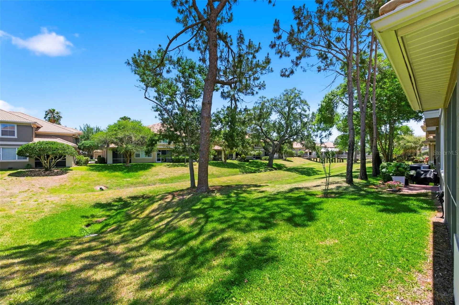 3369 Covered Bridge Drive W Dunedin FL 34698