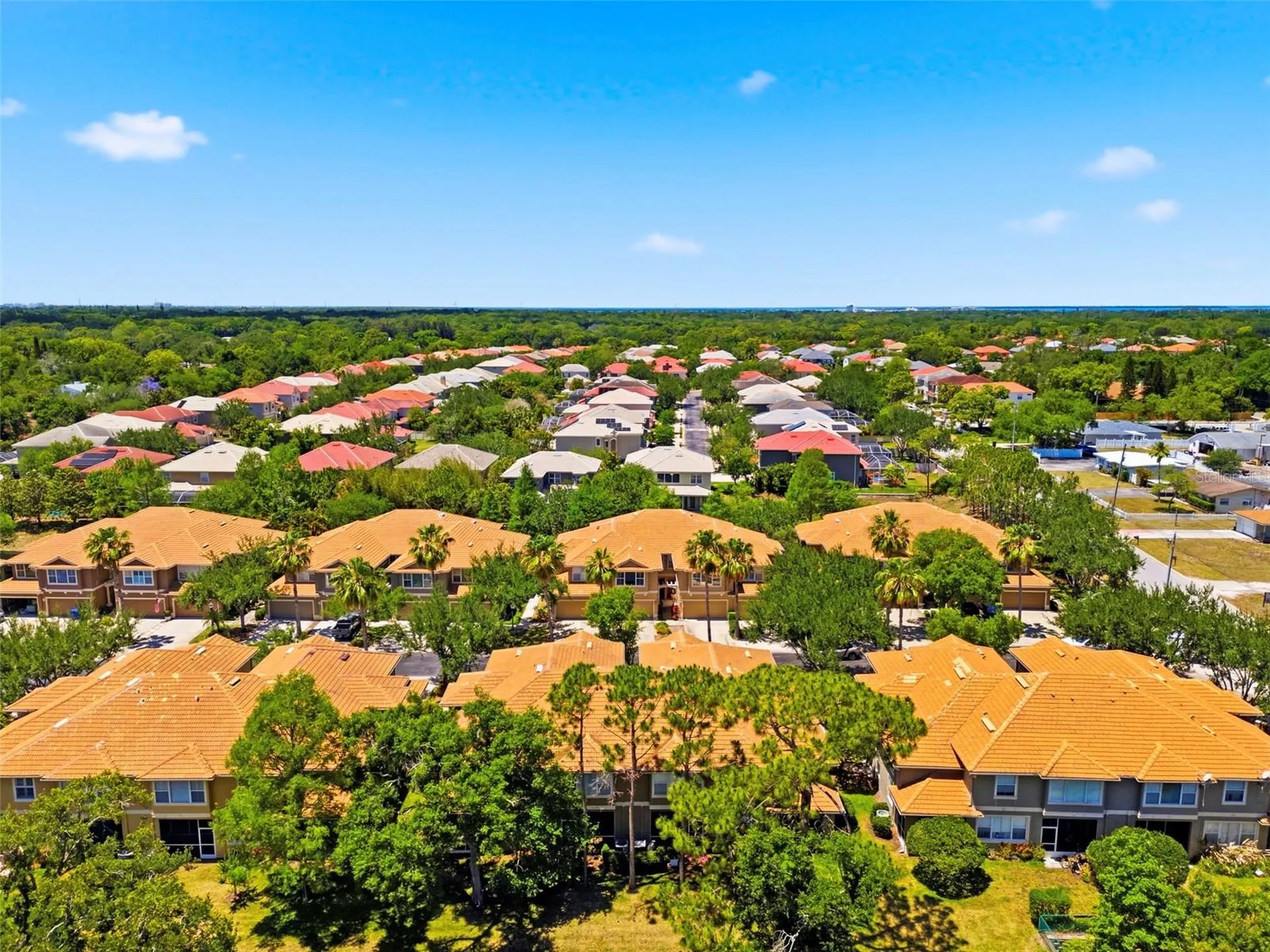 3369 Covered Bridge Drive W Dunedin FL 34698
