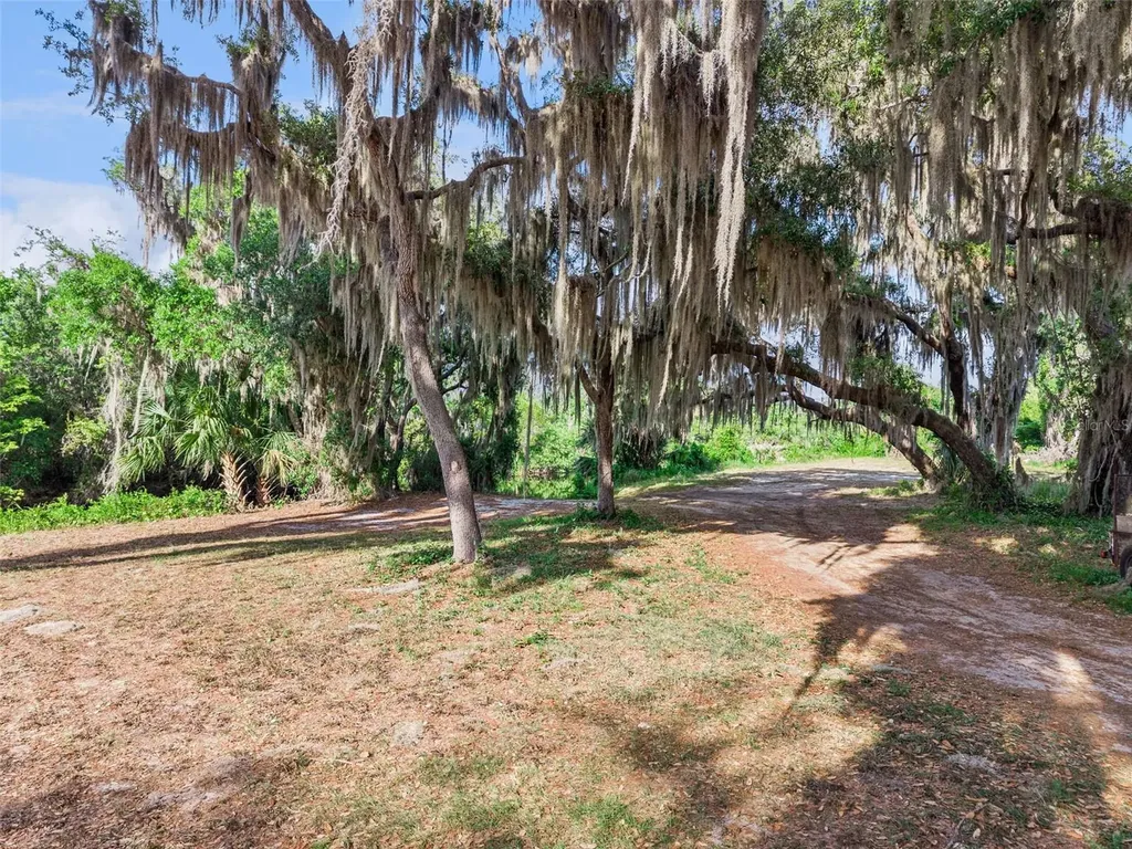35401 Willow Circle Fruitland Park FL 34731