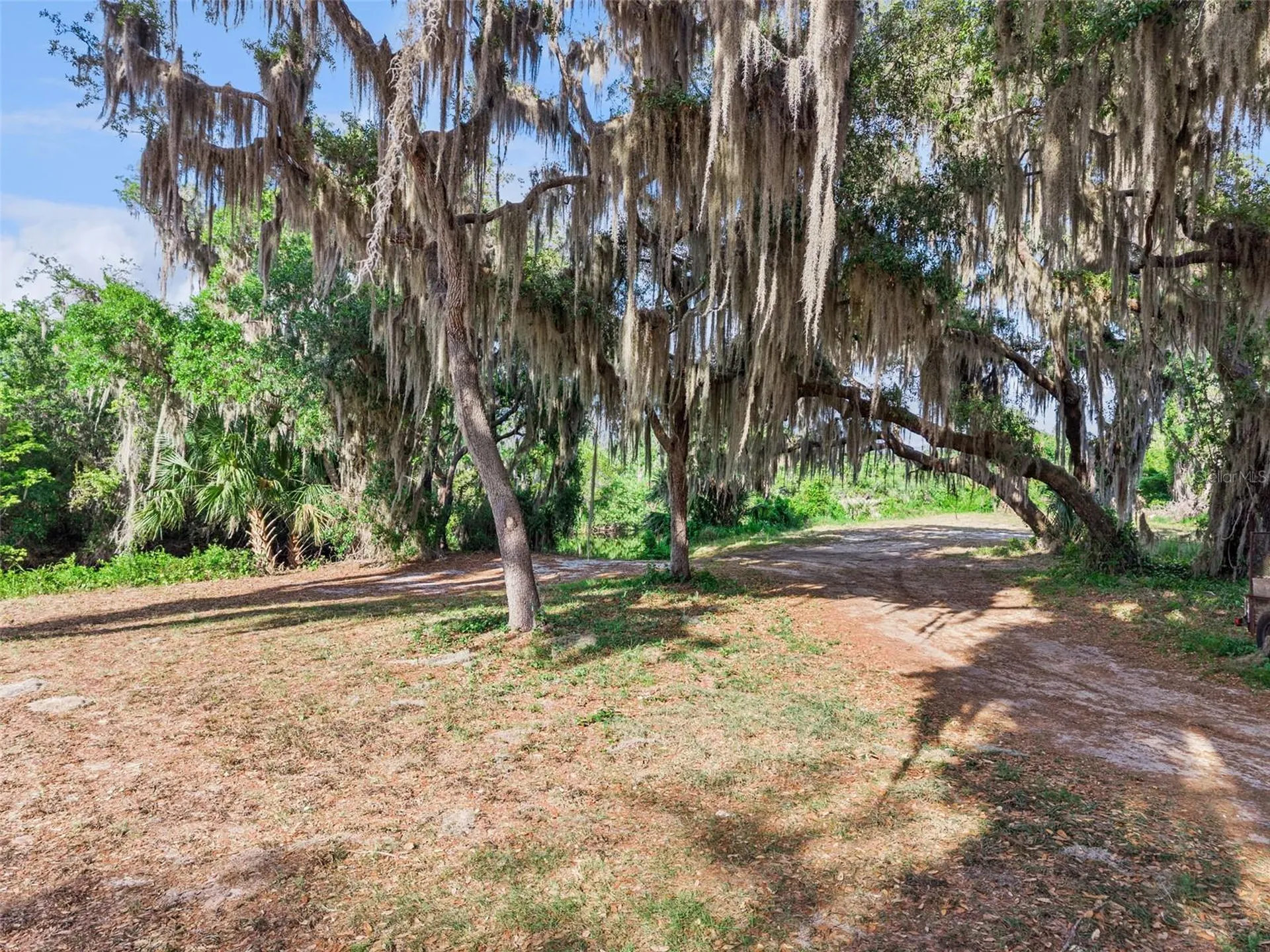 35401 Willow Circle Fruitland Park FL 34731
