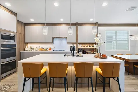 12241 Encore At Ovation Way Winter Garden FL 34787