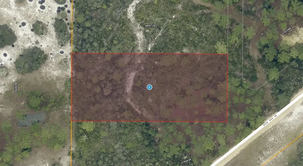 28-17-28-0004-000-03100 Buck Run Drive Paisley FL 32767