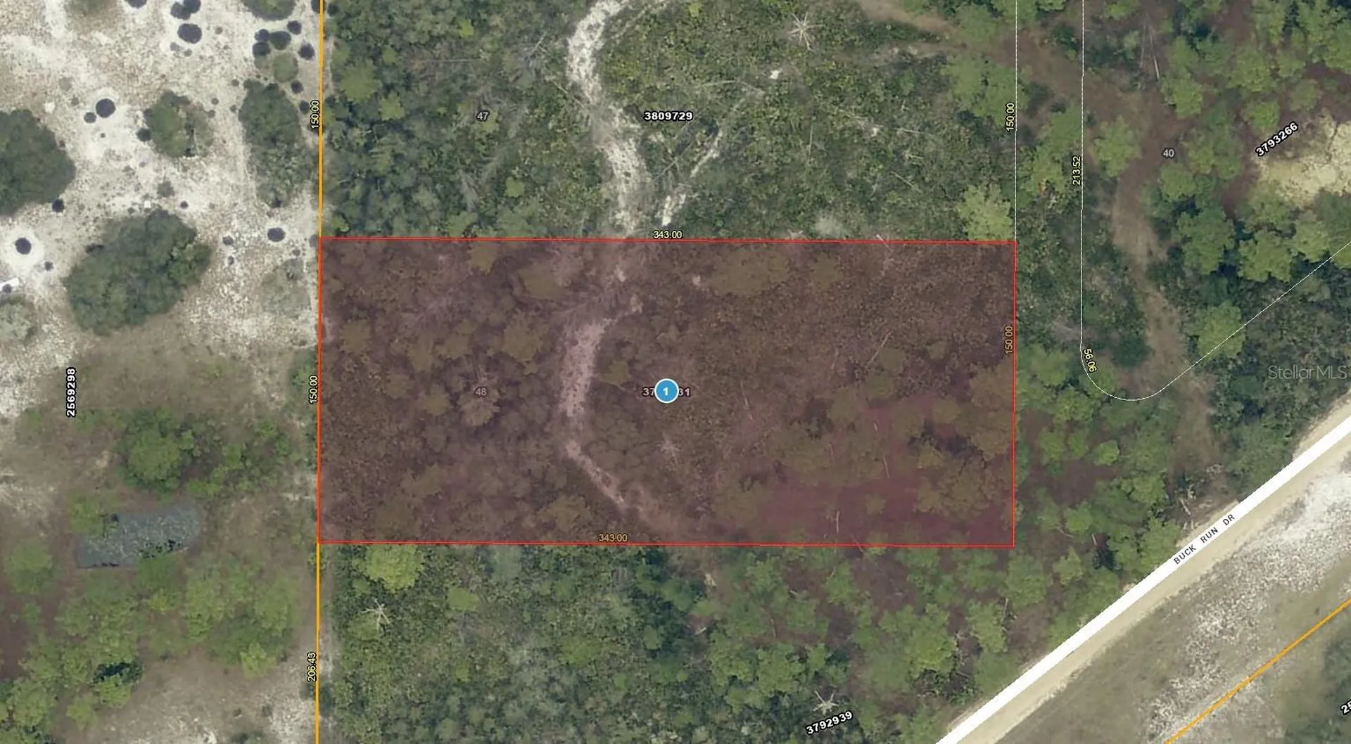 28-17-28-0004-000-03100 Buck Run Drive Paisley FL 32767