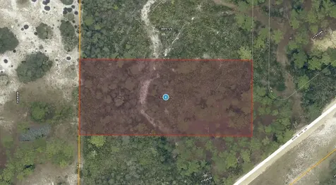 28-17-28-0004-000-03100 Buck Run Drive Paisley FL 32767