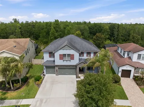 4335 Ortona Lane Wesley Chapel FL 33543