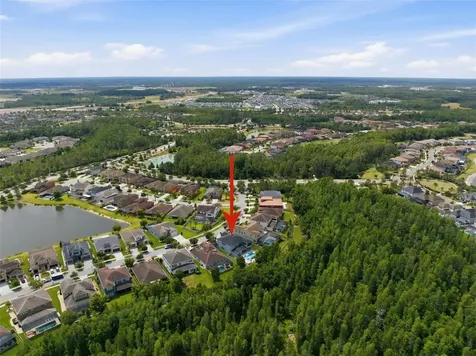 4335 Ortona Lane Wesley Chapel FL 33543