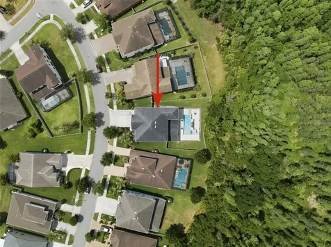 4335 Ortona Lane Wesley Chapel FL 33543